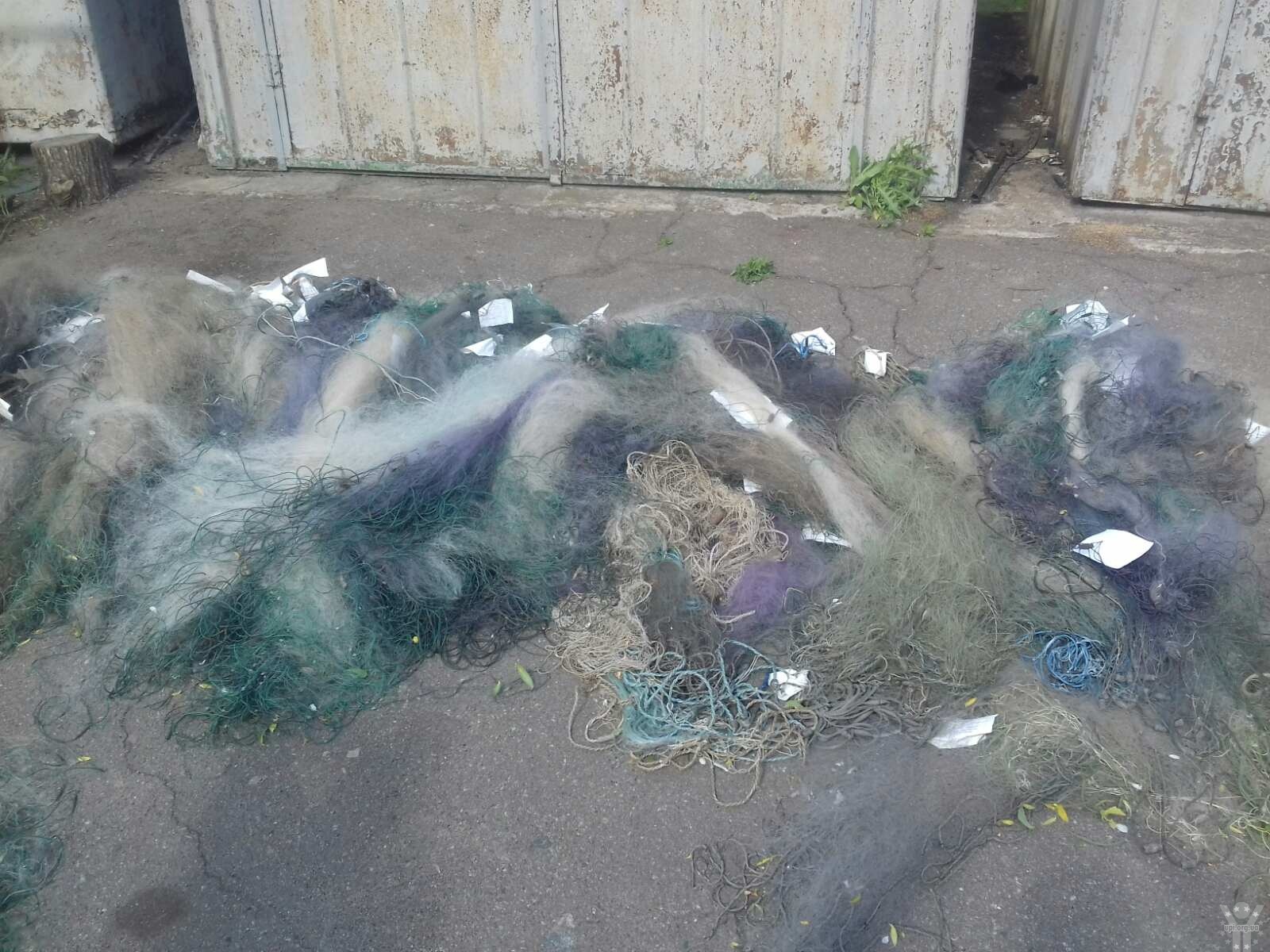 Чернігівським рибоохоронним патрулем знищено понад 5,5 км сіток