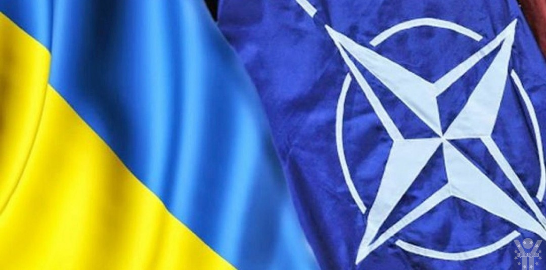 Слухання в Конгресі США щодо приєднання України та Грузії до НАТО
