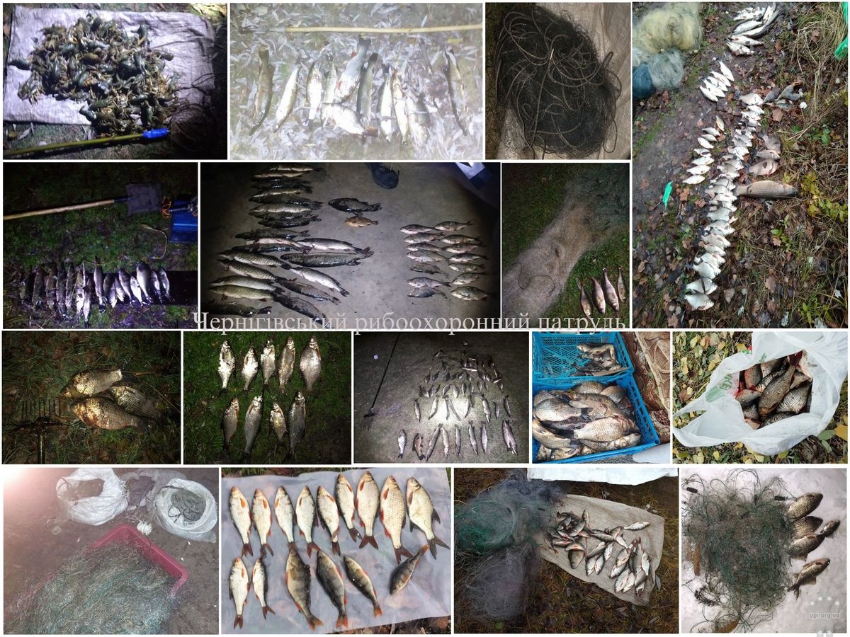На Чернігівщині протягом жовтня зафіксовано 153 порушення Правил рибальства