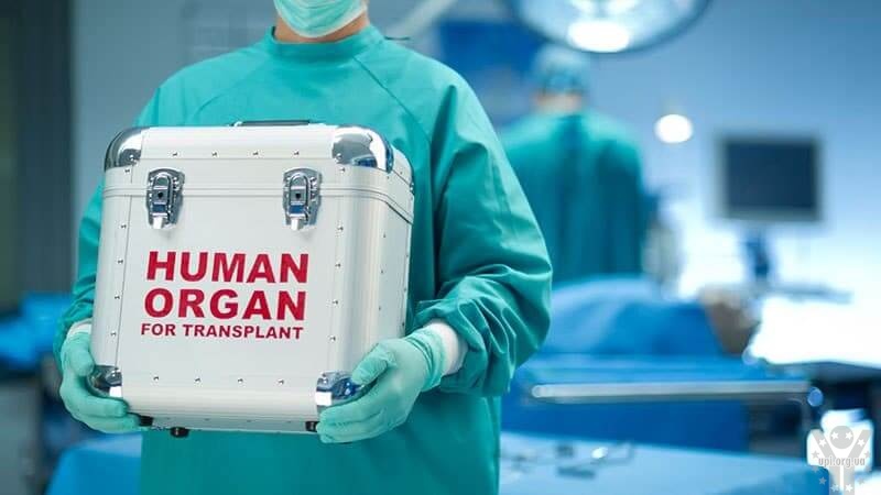 Понад 300 трансплантацій проведено в Україні протягом 2021 року – це абсолютний рекорд останніх десятиліть