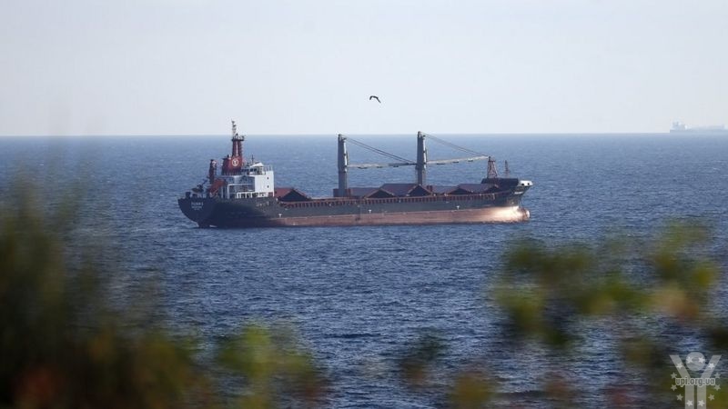 Караван суден з зерном та олією вийшов з українських портів