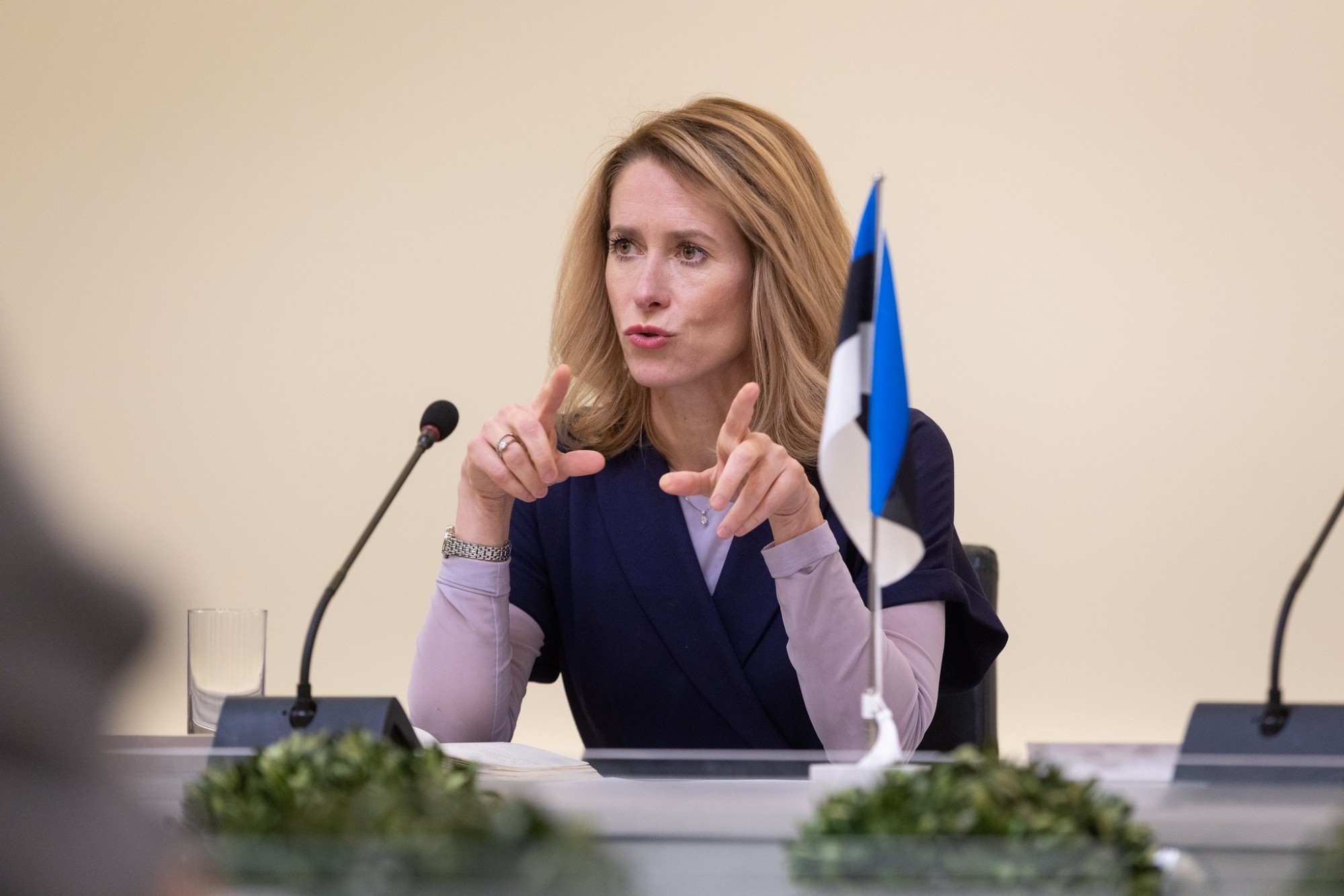 Прем'єр-міністр Естонії Кая Каллас: Ніякого миру на умовах Путіна