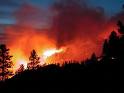 У Криму в горах над Ялтою ліквідовують лісову пожежу