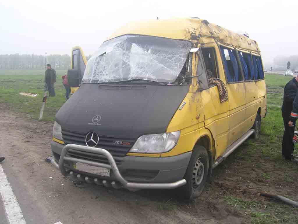 На Житомирщині перекинувся маршрутний мікроавтобус, загинув 1 пасажир, 6 доставлено до лікарень. Фото
