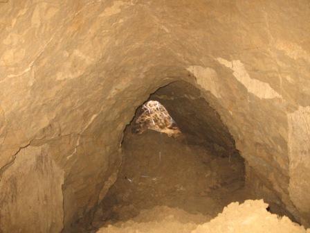 Чернігівщина. У Батурині знайдено таємничий підземний хід. Фото