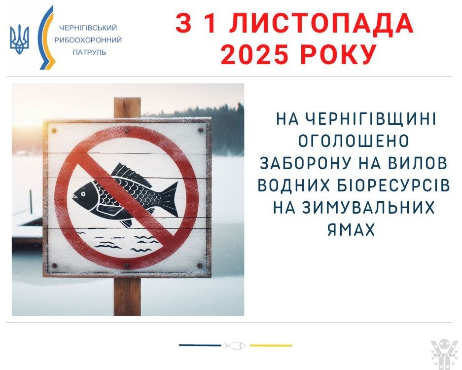 З 1 листопада 2025 року на Чернігівщині розпочинається заборона на лов водних біоресурсів на зимувальних ямах