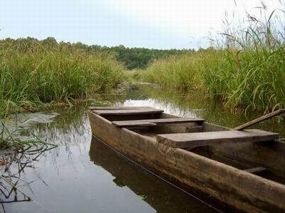 Волинь. Заповідне озеро Лесі Українки відновлюватимуть за 4 мільйони