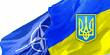 Вийшов у світ Бюлетень Мережі партнерства Україна-НАТО