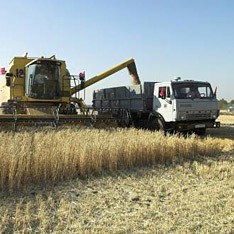 У Запорізькій області - рекордний урожай зернових за останні 20 років