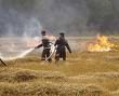 Пожежа на Харківщині - вогнем знищено 46 гектарів ячменю та пшениці