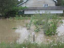 На Івано-Франківщині внаслідок сильних дощів підтоплено 230 населених пунктів, загинуло 4 чоловік. Фото