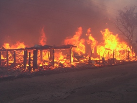 На Чернігівщині вогонь знищив сотні гектарів лісу та двадцять будинків