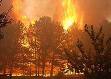 На Харківщині продовжується гасіння лісової пожежі