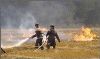 На Чернігівщині вогнем знищено 30 га пшениці