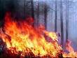 Харківщина. Внаслідок лісової пожежі вогонь перекинувся на площадки зберігання боєприпасів
