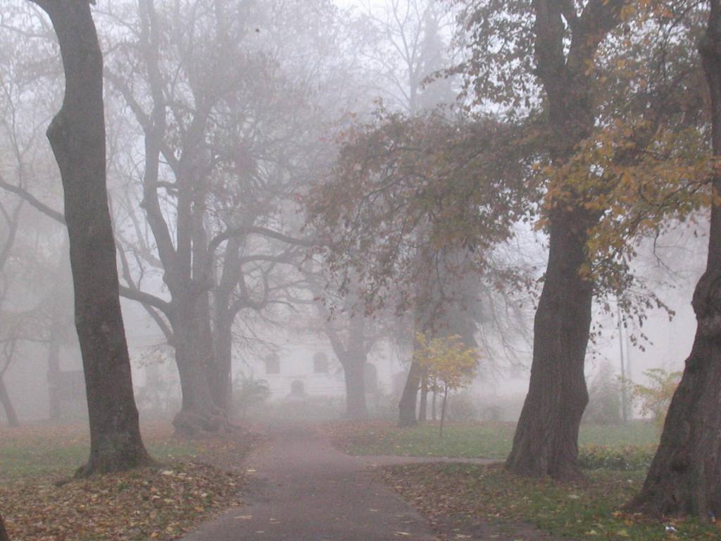 Туман блукає алеями стародавнього Валу… Фото