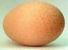Янукович довів ціни на курячі яйця до цін на яйця Фаберже