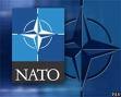 КВУ: Референдум стосовно НАТО слід відкласти