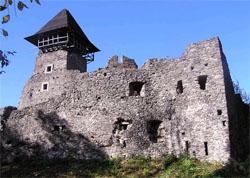 На Закарпатті гине унікальний Невицький замок