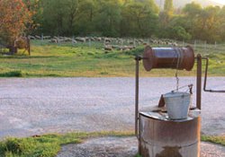 Вигрібні ями XIX сторіччя забруднюють питну воду в Херсоні