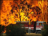 Лісові пожежі в Австралії - 