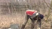 На Чернігівщині колишні наркомани відновлюють українське село