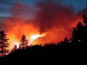На Херсонщині згоріло понад 30 гектарів лісу
