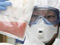 Україна має ліки від свинячого грипу