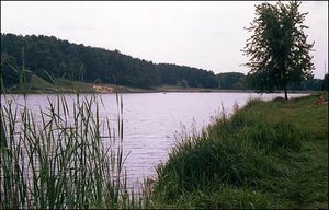 Поліпшення екологічного стану річки Стрижень в місті Чернігові