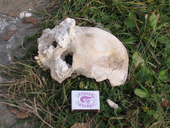 У Чернігові під час реставраційних робіт знайдено череп невідомої особи