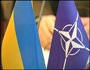 Уряд Януковича схвалив програму інформування громадян про НАТО