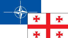 Країни НАТО візьмуть під особливий контроль кордони Грузії