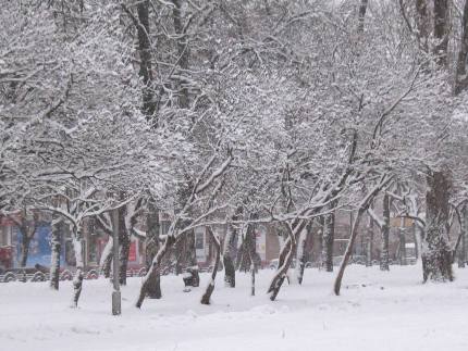 Прогноз погоди в Україні на 15 грудня. Синоптики попереджають про погіршення погодних умов