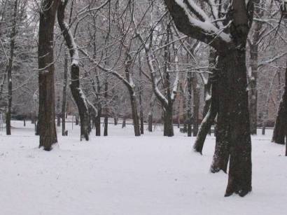 Прогноз погоди в Україні на 14 грудня: без істотних опадів, на дорогах - ожеледиця. Холодно