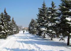 Прогноз погоди в Україні на 19 грудня