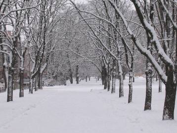 Прогноз погоди в Україні на 17 грудня: морози, сильні снігопади